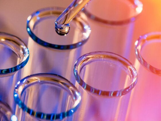 Top 5 Small-cap Biotech Stocks of 2025