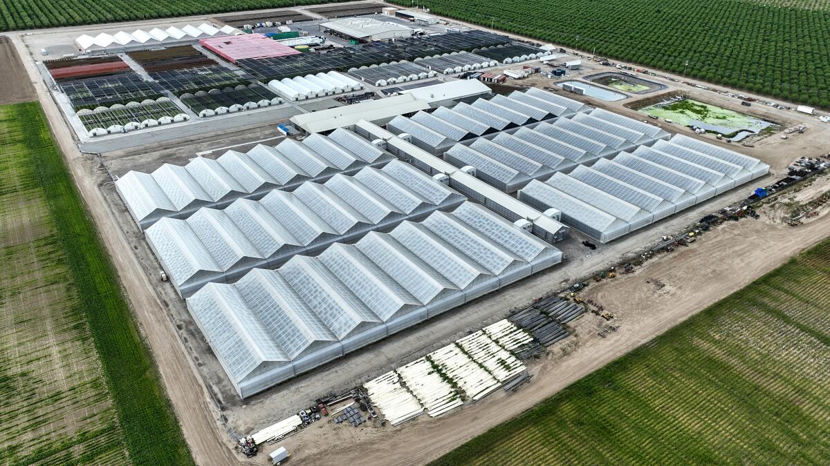 A complex of low industrial buildings.