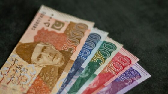 Pakistan Enlists Japanese Help in CBDC Endeavor