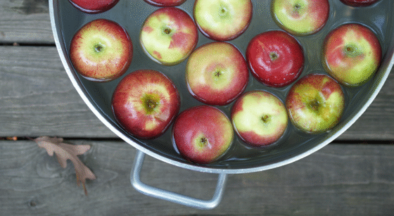 Trick or Treat? Bobbing for Multibaggers in the Small-Cap Market