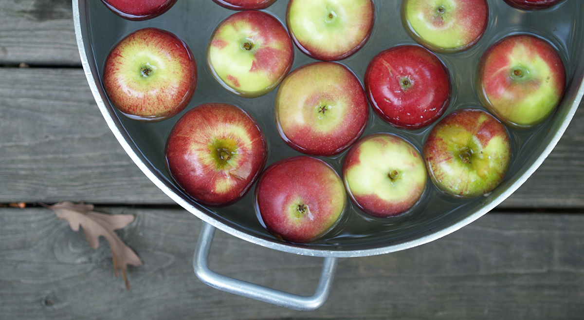 Trick or Treat? Bobbing for Multibaggers in the Small-Cap Market