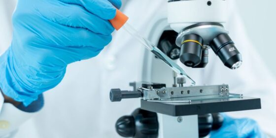 5 Best-performing Small-cap Biotech Stocks on the ASX (Updated August 2024)