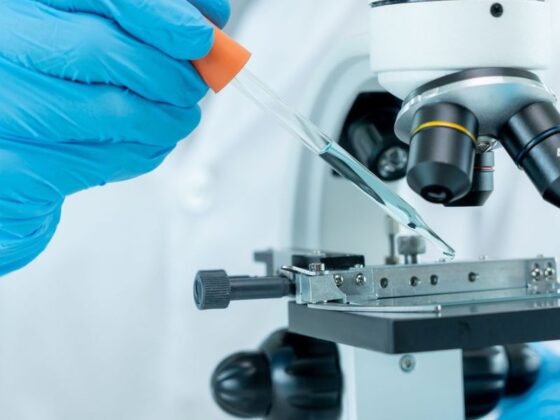 5 Best-performing Small-cap Biotech Stocks on the ASX (Updated August 2024)