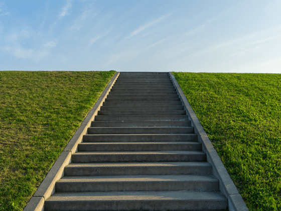 Do Better ESG Ratings Boost Bond Holders?