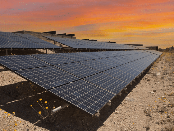 Climate Change, Risk Management, and the Freedom to Invest Responsibly