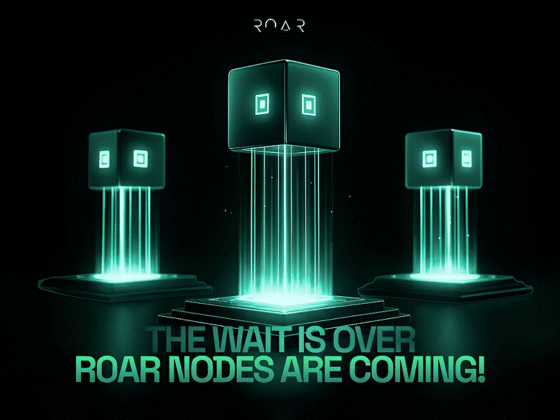 R0AR Announces Node Sale: Democratizing Layer 2 Infrastructure While Rewarding Community Participation