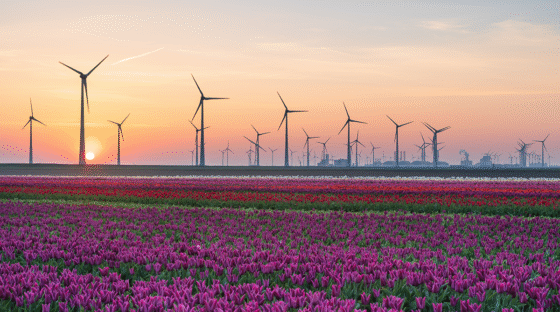 ESG Affirmations and Surprises: Asset Managers Look to the Future