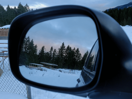 When Hindsight Becomes Foresight: Replicating Investment Performance