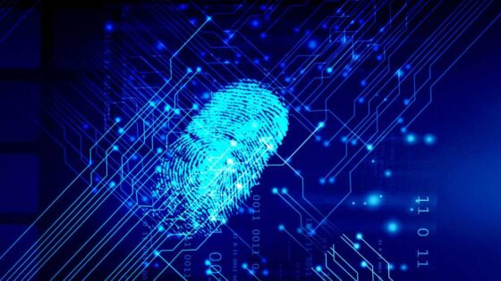 How to delete yourself from the internet