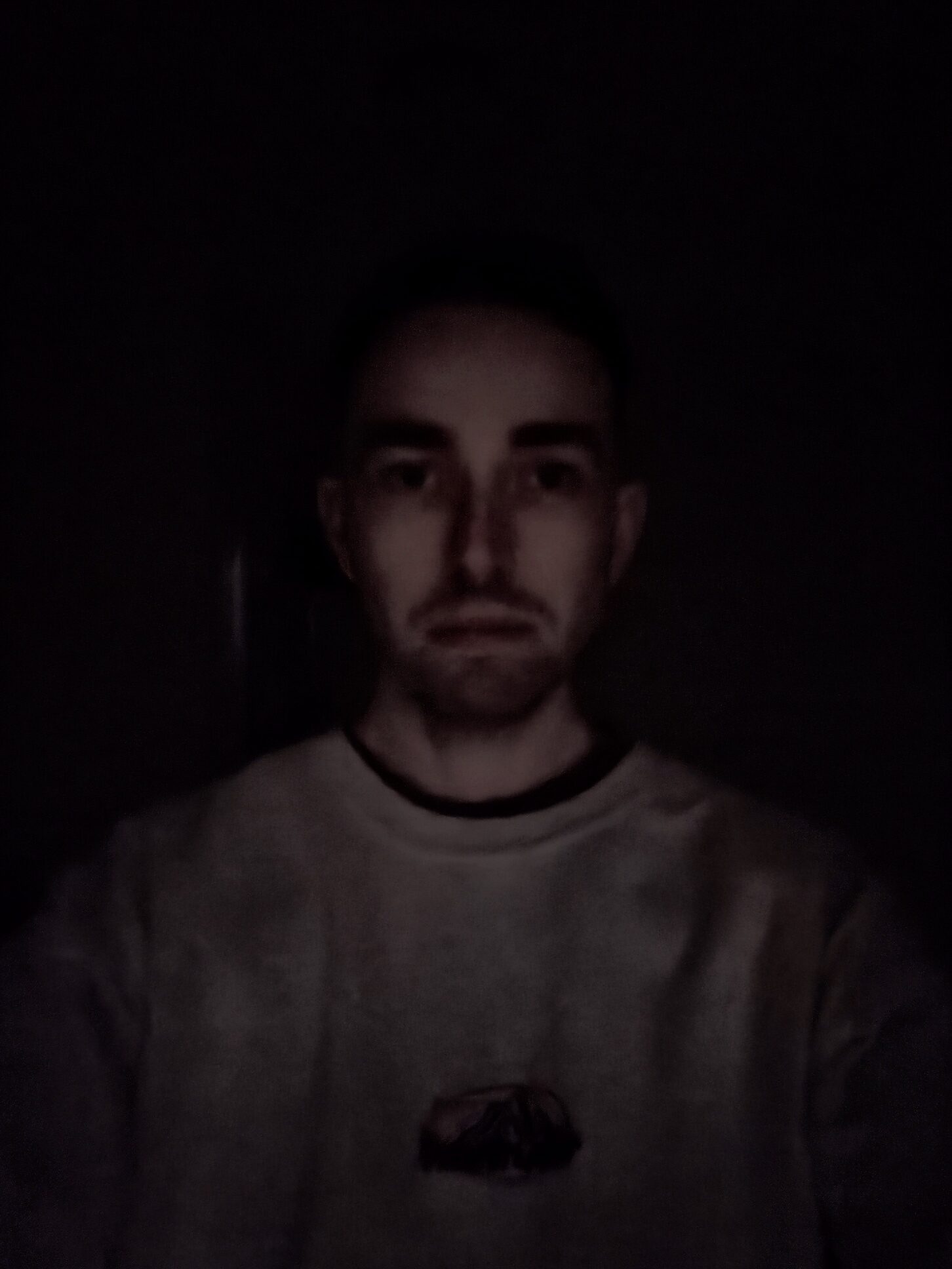 Galaxy Z Fold 6 Selfie No Light