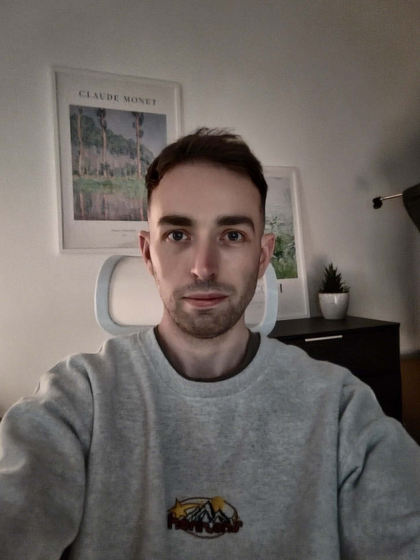 Galaxy Z Fold 6 Selfie Low Light