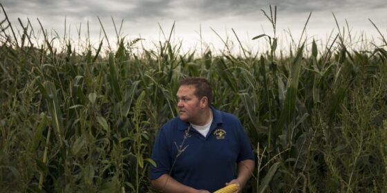‘Like the corn’s never getting a break. It’s just hot all the time’: How America’s farmers conquered climate change for a ‘monster’ harvest