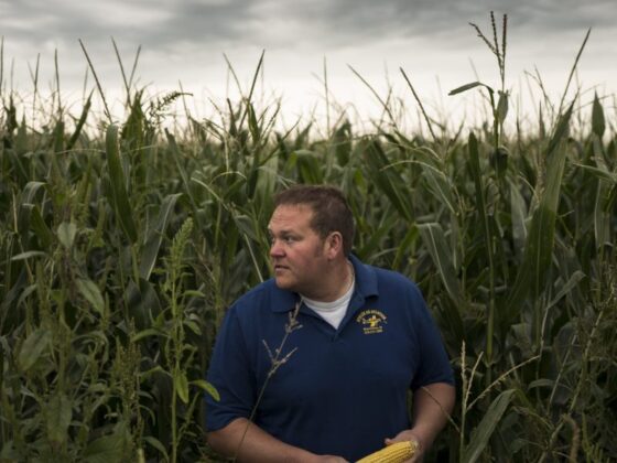 ‘Like the corn’s never getting a break. It’s just hot all the time’: How America’s farmers conquered climate change for a ‘monster’ harvest