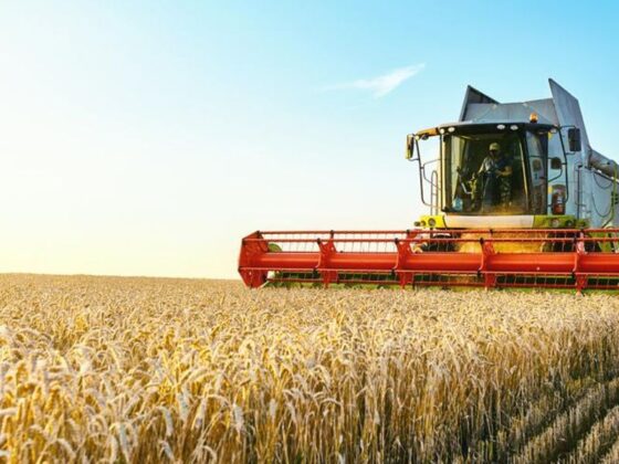 Top 10 Phosphate Countries by Production