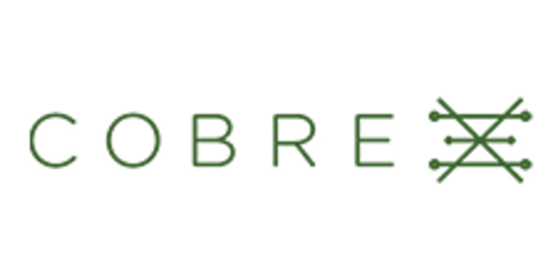 Cobre Limited: Unlocking Copper and Critical Minerals for a Low-carbon Future