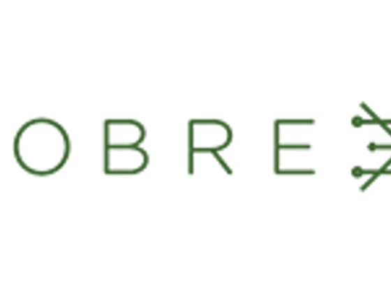 Cobre Limited: Unlocking Copper and Critical Minerals for a Low-carbon Future
