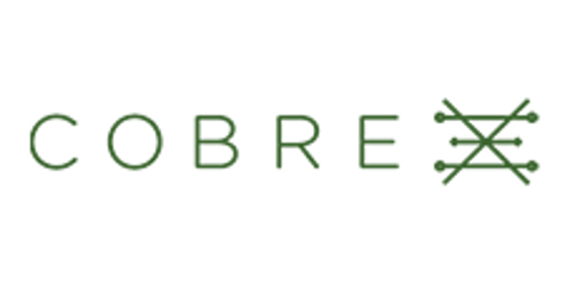 Cobre Limited: Unlocking Copper and Critical Minerals for a Low-carbon Future