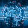 Decoding the Crypto Mindset with NLP: Bitcoin, Reddit, and FTX