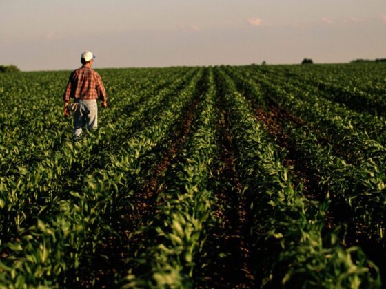 Rural America is suffering an economic crisis as crop prices plunge