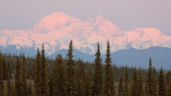 77-year-old airline cancels all flights in Chapter 11 bankruptcy