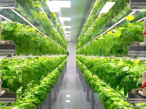 AeroFarms secures funding to build second vertical farm