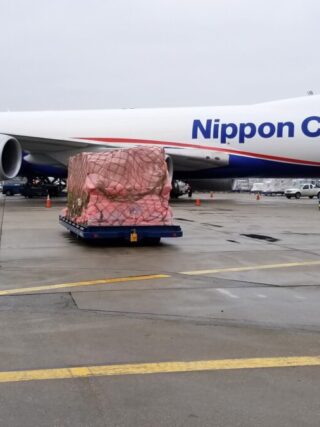 All Nippon Airways finalizes takeover of Nippon Cargo Airlines