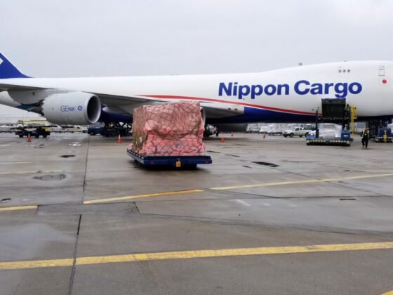All Nippon Airways finalizes takeover of Nippon Cargo Airlines