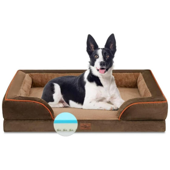 Amazon's  orthopedic dog bed is now just , and customers say their dogs 'love it'