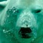 Analyst Says XRP Price Is Yet To Hit Its First Bearish Target, It’s Much Lower