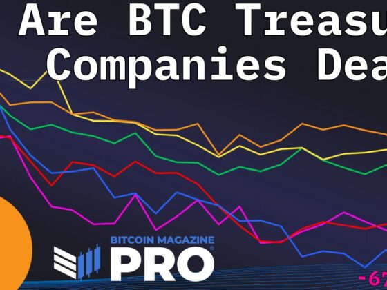 Are Bitcoin Treasury Companies Still A Smart Investment In 2025?