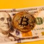 BTC Traders Remain Far From -12% Capitulation Zone