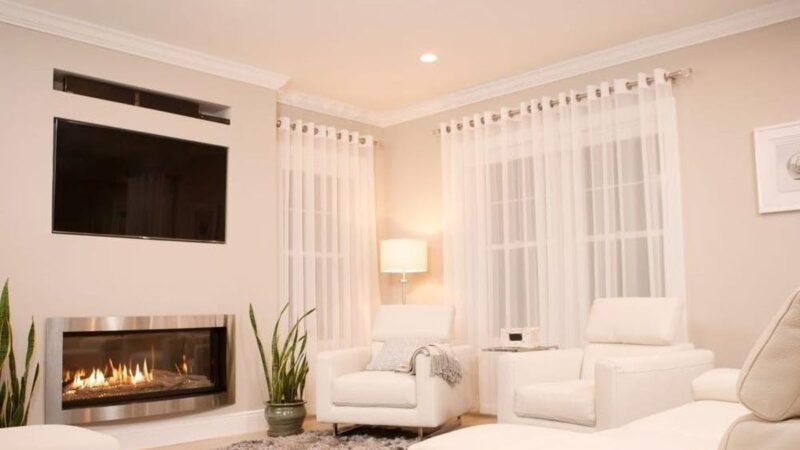 Best LED Floodlight Bulbs of 2025: Top Picks for Large Lights