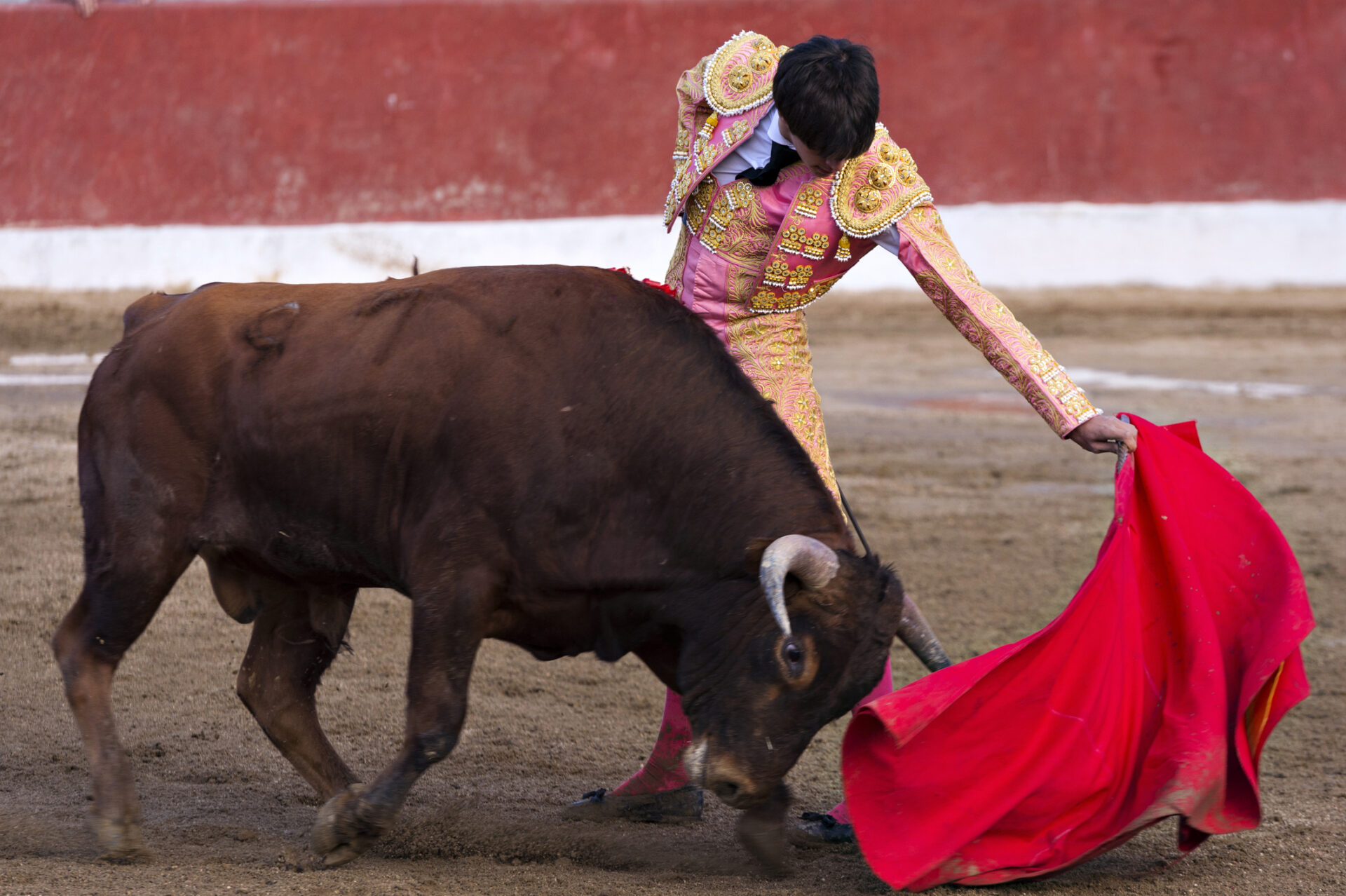 Bitcoin Analyst Builds BTC's Bullish Case After Binance Volume Spike, Fed Liquidity Surge