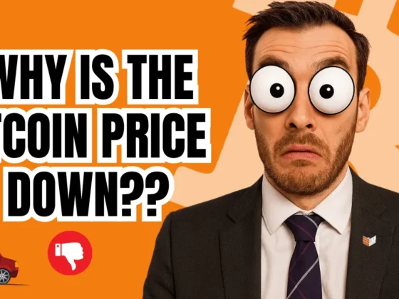 Bitcoin Price Falls — And As Usual, Nobody Knows Why