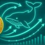 Bitcoin Whale Turns To Ethereum, Drives .5 Billion In Crypto Transactions