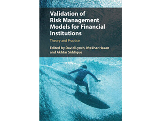 Book Review: Validation of Risk Management Models for Financial Institutions