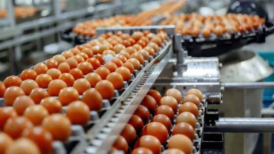 Cal-Maine Foods creates chief strategy officer role