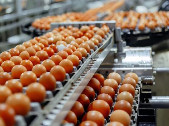 Cal-Maine Foods creates chief strategy officer role
