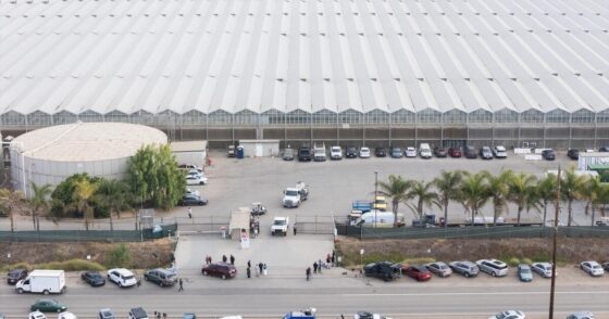 California cannabis firm raided by ICE unveils big labor changes