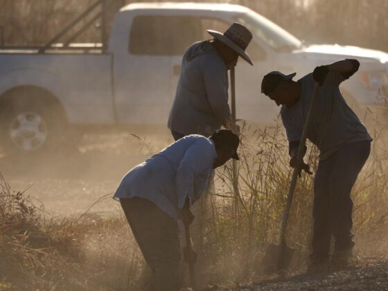 California farmworkers still die from heat illness 20 years after law