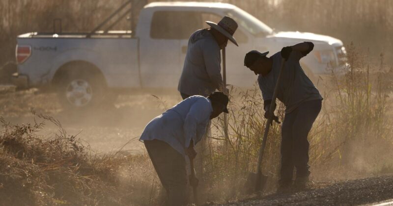 California farmworkers still die from heat illness 20 years after law
