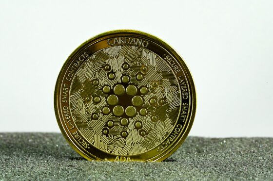 Cardano Price To Rise 300% To ? Analyst Reveals When