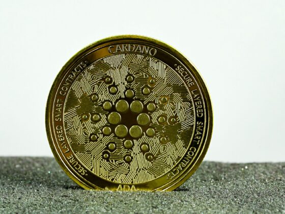 Cardano Price To Rise 300% To ? Analyst Reveals When