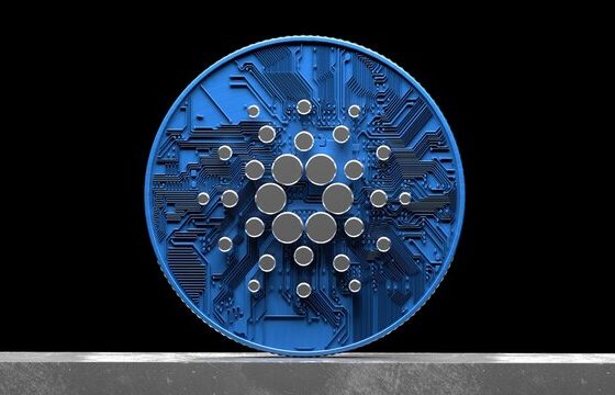 Cardano Whales Scoop Up 100 Million ADA In 24 Hours – Is A Mega Rally Brewing?