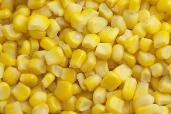 Corn Posts Thursday Gains, with Export Business Continuing