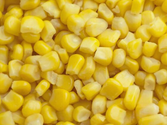 Corn Posts Thursday Gains, with Export Business Continuing
