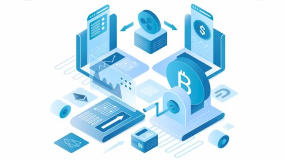 Crypto vs. Stocks: Which Risk Is Worth Taking?