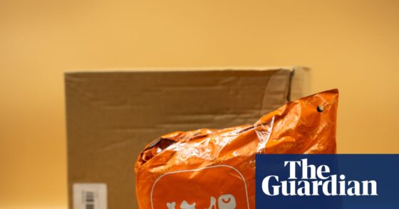 Does Trump’s tariff on small packages mean no more cheap online shopping? | Trump tariffs