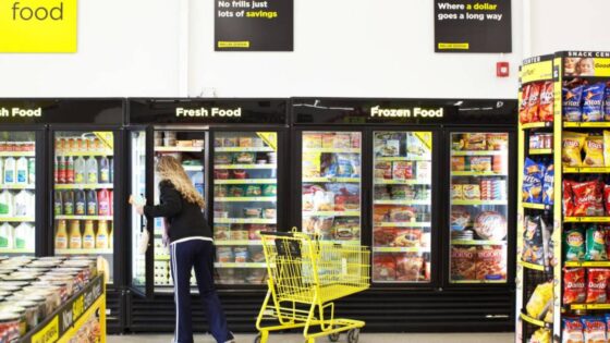Dollar General Reveals a Disturbing Pricing Admission