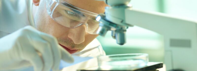 Cumberland Pharmaceuticals Leads The Charge With 2 Other Prominent Penny Stocks